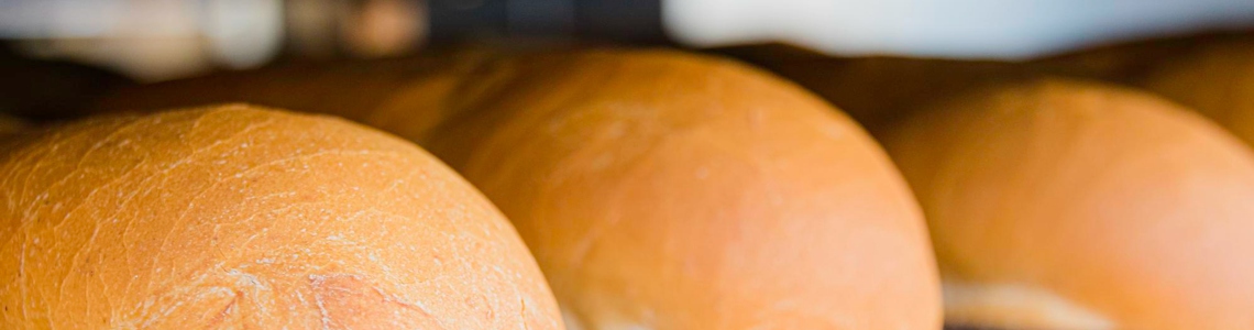 Qual'è l'azione del lievito di birra nell'impasto?