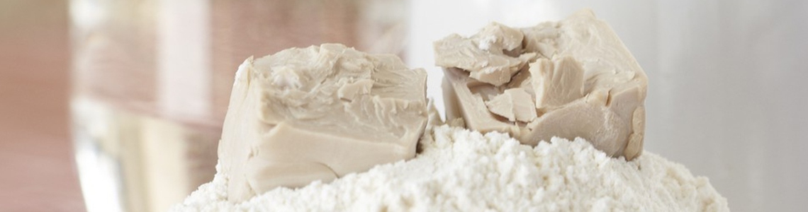 Come fare per accelerare la lievitazione in casa del pane in caso di necessità?