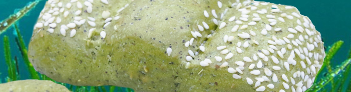 L'Alga Spirulina
