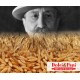 Farina biologica di grano duro Senatore Cappelli 100% italiana