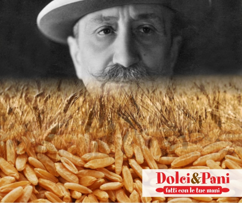 Farina biologica di grano duro Senatore Cappelli 100% italiana